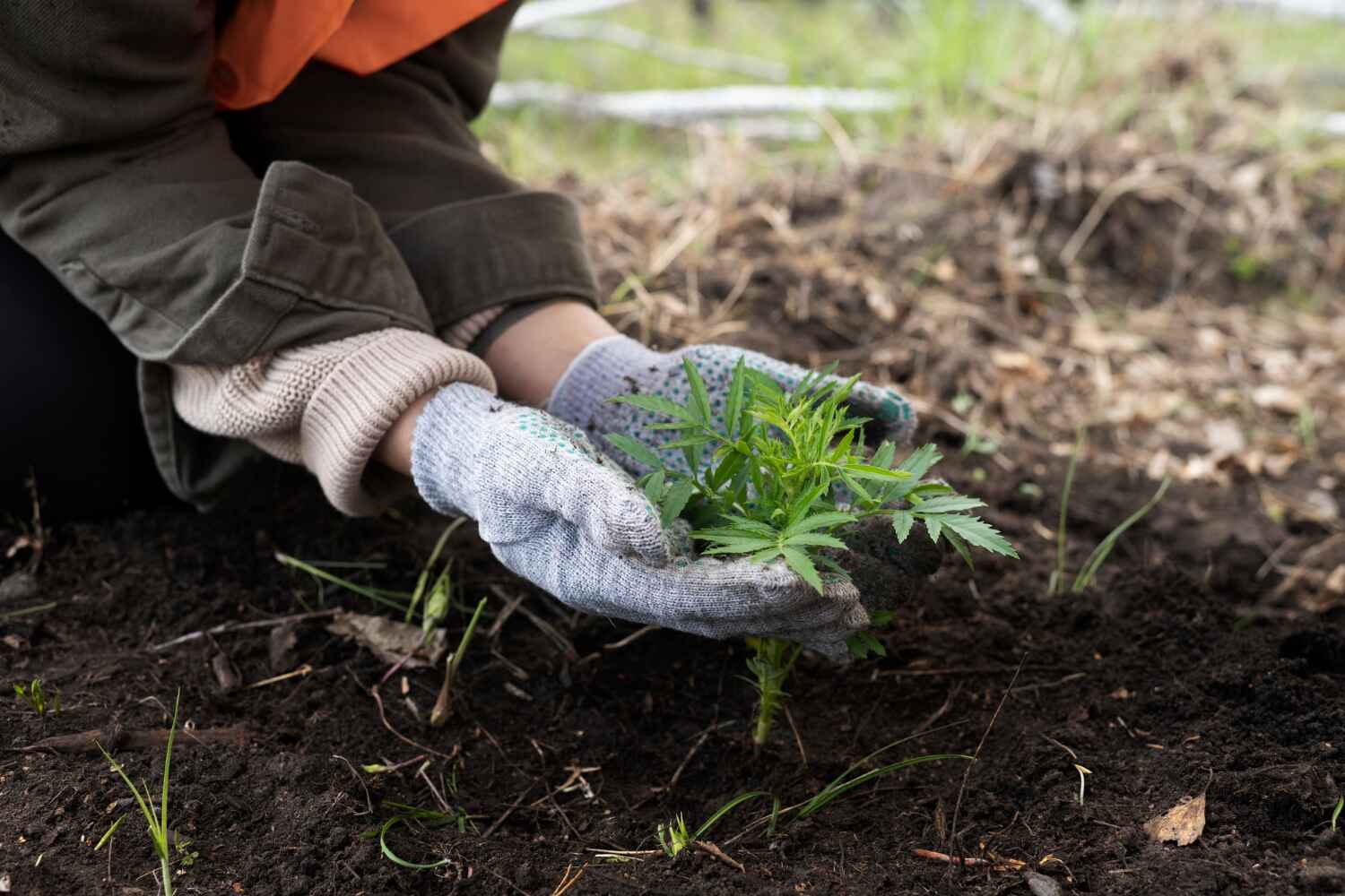 Best Tree Trimming Near Me  in Defuniak Springs, FL